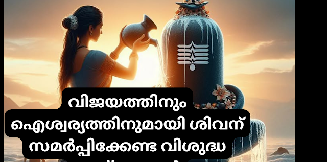 9 Ways to  offer up Shiva|വിജയത്തിനും ഐശ്വര്യത്തിനുമായി |ശിവന് സമർപ്പിക്കേണ്ട വിശുദ്ധ വസ്തുക്കൾ