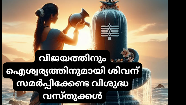 വിജയത്തിനും ഐശ്വര്യത്തിനുമായി ശിവന് സമർപ്പിക്കേണ്ട വിശുദ്ധ വസ്തുക്കൾ