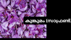 വിജയത്തിനും ഐശ്വര്യത്തിനുമായി ശിവന് സമർപ്പിക്കേണ്ട വിശുദ്ധ വസ്തുക്കൾ
