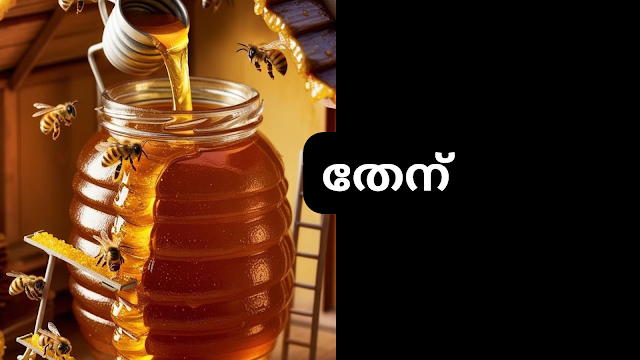 വിജയത്തിനും ഐശ്വര്യത്തിനുമായി ശിവന് സമർപ്പിക്കേണ്ട വിശുദ്ധ വസ്തുക്കൾ