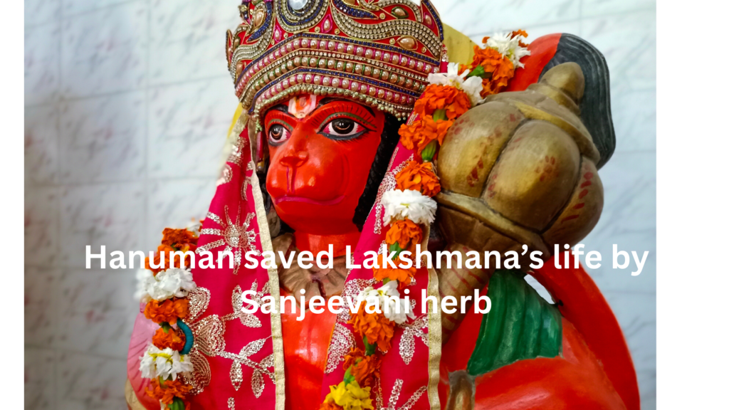 12 Powerful Names of Hanuman: Chant Daily for Strength, Protection, and Blessings